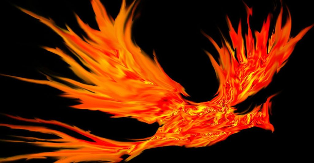 Disrupting the phoenix – how to tackle a business scourge