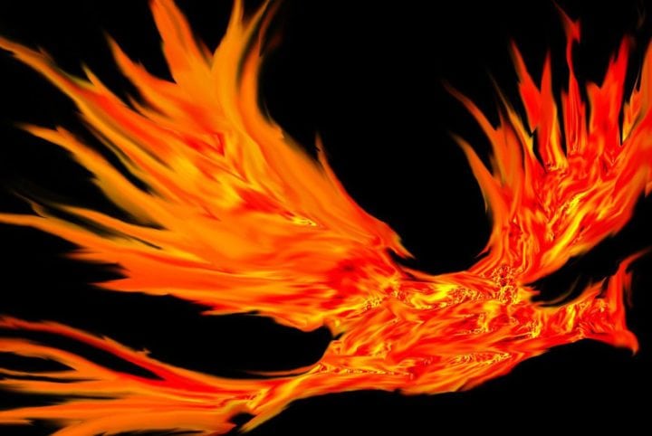 Disrupting the phoenix – how to tackle a business scourge