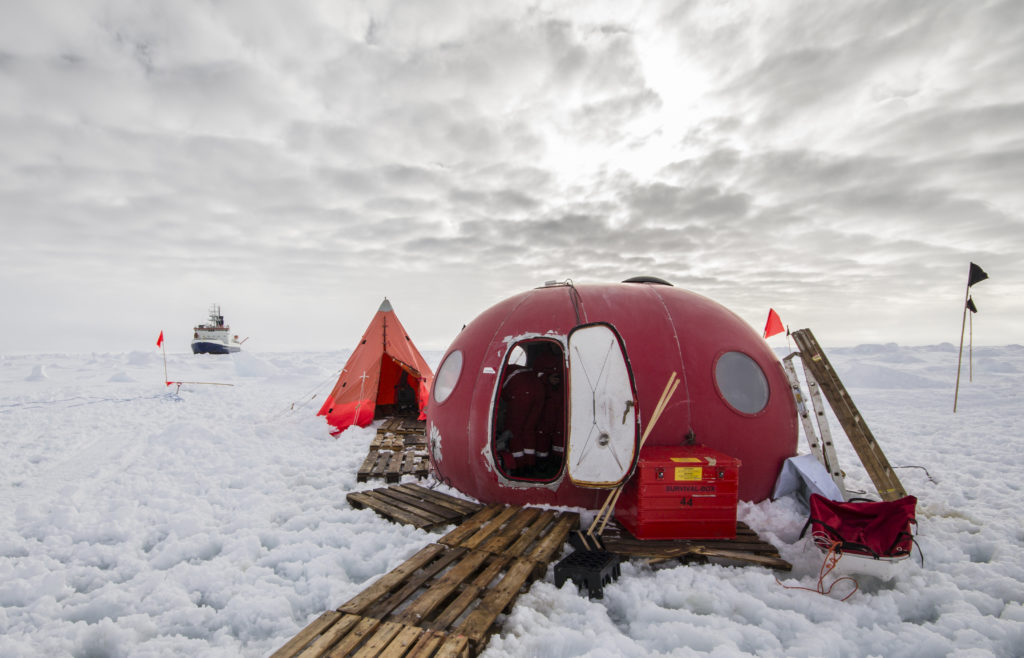 ‘Must be chill’: recruiting for Antarctica