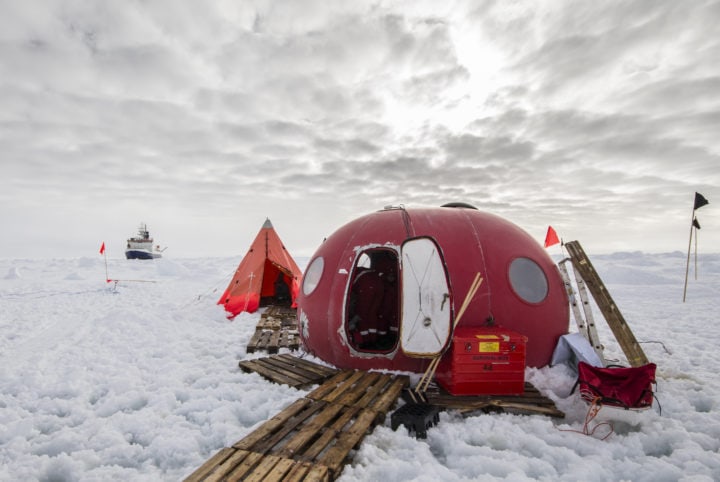 ‘Must be chill’: recruiting for Antarctica